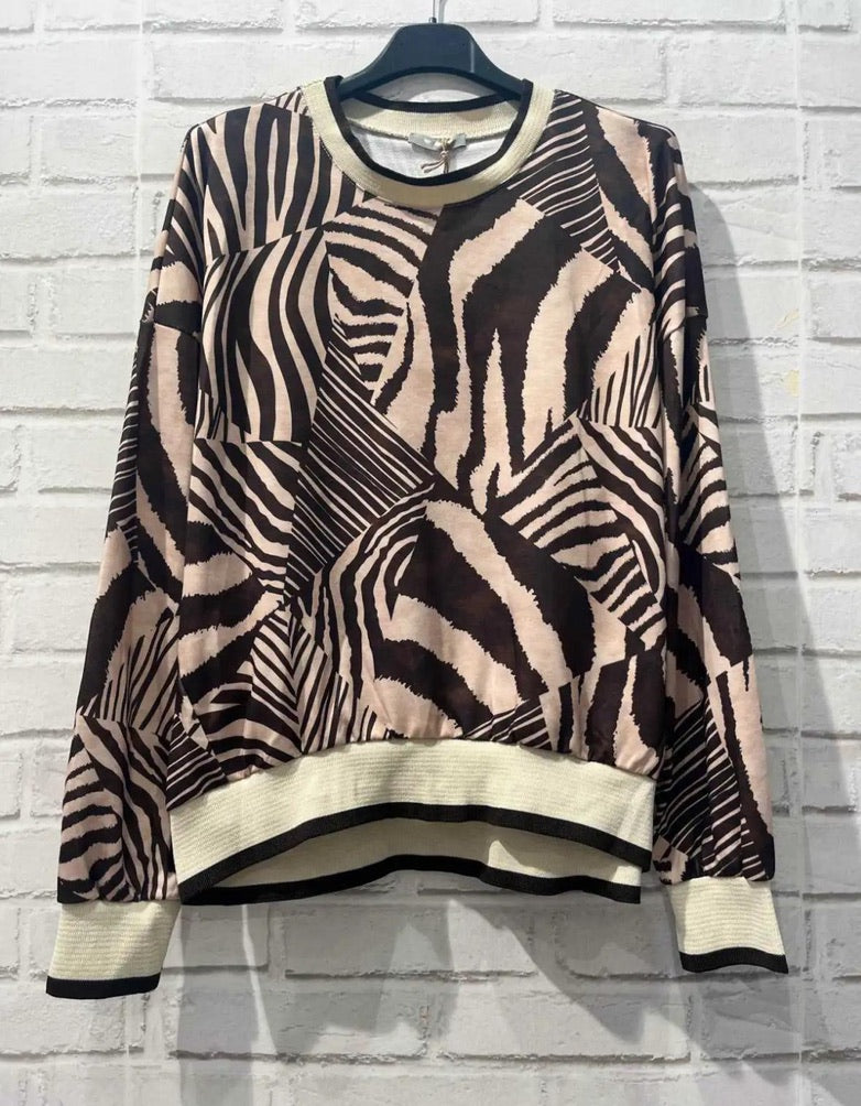 Abstract zebra sweatshirt